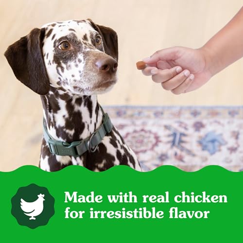 Greenies Hip & Joint Dog Supplements, Chicken Flavor - 80 Soft Chews - Image 10