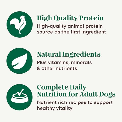 Nutro Natural Choice Cuts in Gravy Wet Dog Food Variety Pack - Image 3