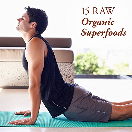 Garden of Life Raw Organic Fiber Powder - 15 Organic Superfoods - Image 4
