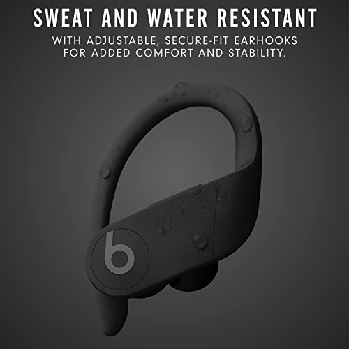 Beats Powerbeats Pro Wireless Earbuds - Black - Image 2