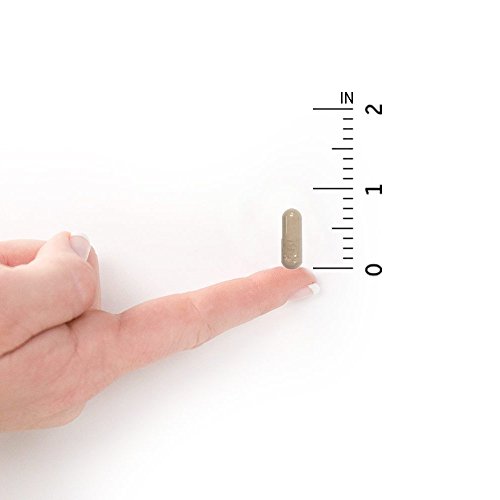 Garden of Life Vitamin Code 50 & Wiser Multivitamin for Men, 240 Capsules - Image 8