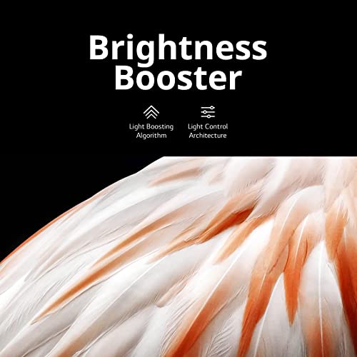 LG C3 Series 65-Inch OLED EVO 4K Smart TV with Gaming Features - Image 8