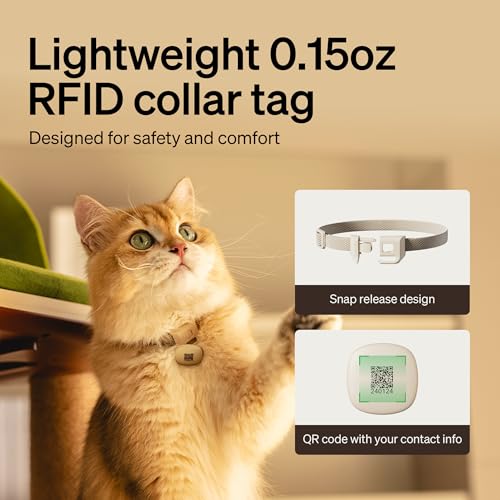PETLIBRO RFID & Wi-Fi Smart Automatic Cat Feeder, 3L Capacity - Image 8