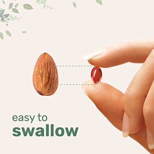 Micro Ingredients Lutein & Zeaxanthin Softgels - 240 Count for Eye Health - Image 7