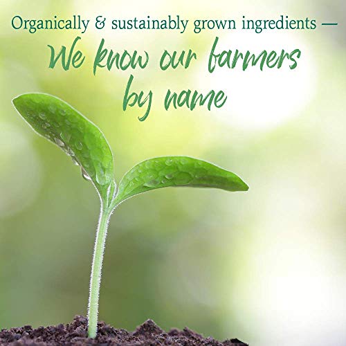 Garden of Life Green Superfood Powder - Organic & Stevia-Free, 30 Servings - Image 6