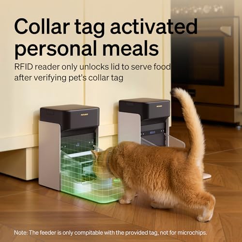 PETLIBRO RFID & Wi-Fi Smart Automatic Cat Feeder, 3L Capacity - Image 3