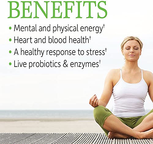 Garden of Life Vitamin B Complex with Probiotics – 120 Vegan Capsules - Image 2