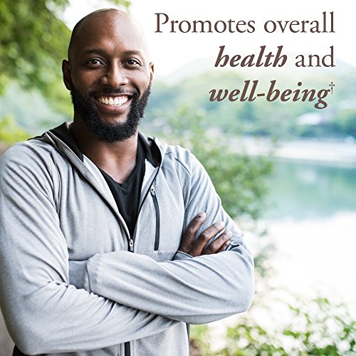 Garden of Life Organics Multivitamin for Men 40+ - 120 Vegan Tablets - Image 3